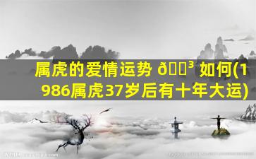 属虎的爱情运势 🌳 如何(1986属虎37岁后有十年大运)